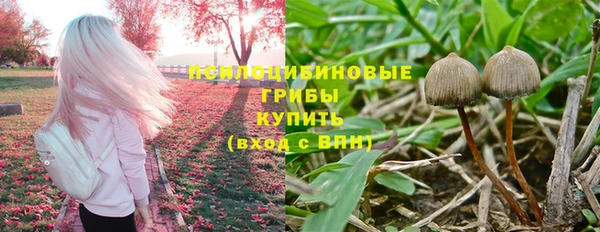 прущая мука Алзамай